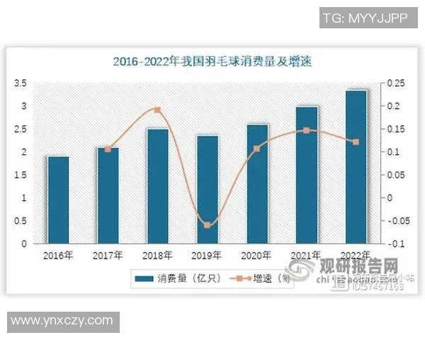 广州羽毛球队意识表现的数据分析与提升策略探讨 广州羽毛球队意识表现的数据分析与提升策略探讨