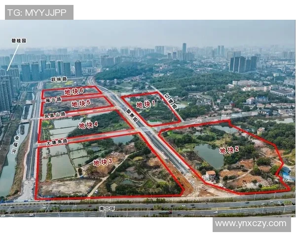 深圳极限运动队状态分析与未来发展趋势探讨 深圳极限运动队状态分析与未来发展趋势探讨