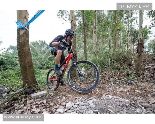 赛后分析:北京极限运动队与西安极限运动队的精彩对决与战术节奏探讨 赛后分析:北京极限运动队与西安极限运动队的精彩对决与战术节奏探讨