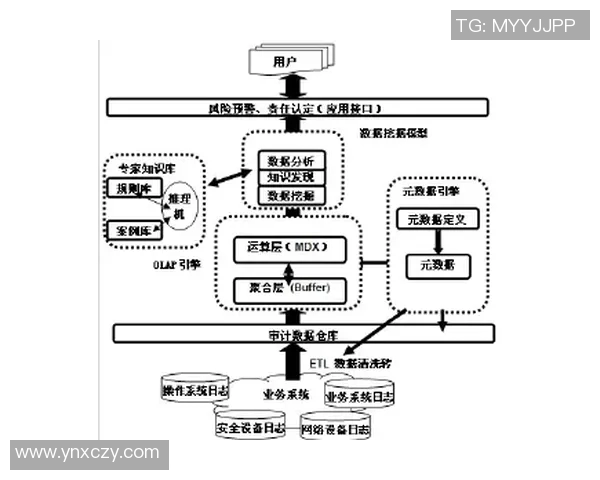 北京乒乓球队团队协作表现的深入数据分析与研究探讨 北京乒乓球队团队协作表现的深入数据分析与研究探讨