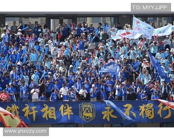 南京飞盘队心理素质引发热议球员表现与团队氛围的深度探讨 南京飞盘队心理素质引发热议球员表现与团队氛围的深度探讨