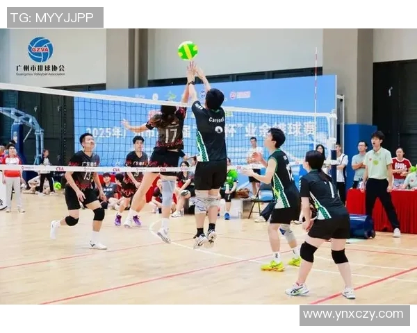 广州排球队灵活性排名创新高展现团队实力与发展潜力 广州排球队灵活性排名创新高展现团队实力与发展潜力