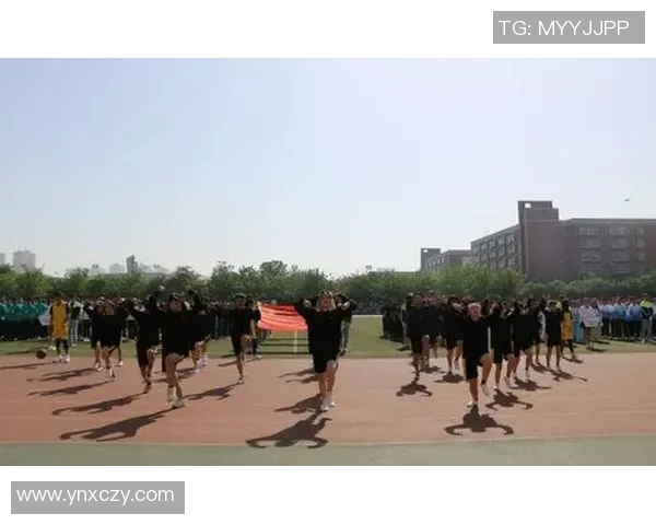 广州网球队进攻体系解析：网球战术的创新与实践探讨