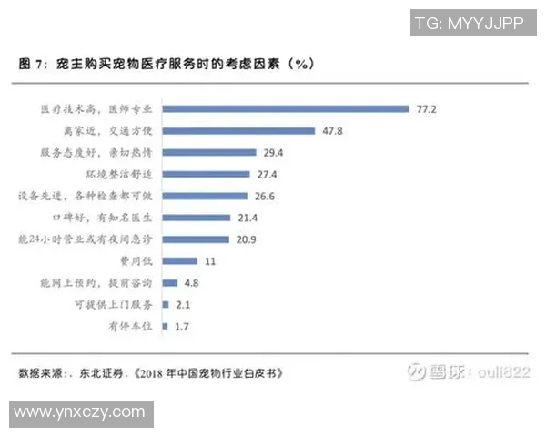 成都羽毛球队实力深度解析与对比分析报告