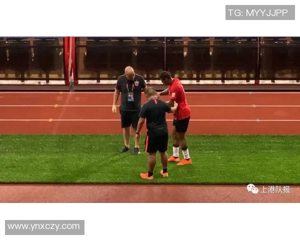 深入分析重庆排球队阵地战战术与执行策略的独特之处