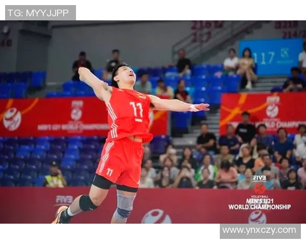 比利时与土耳其排球对决精彩纷呈谁将赢得这场巅峰对抗赛