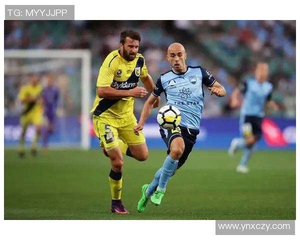 水手主场迎战珀斯全力争胜分析与预测