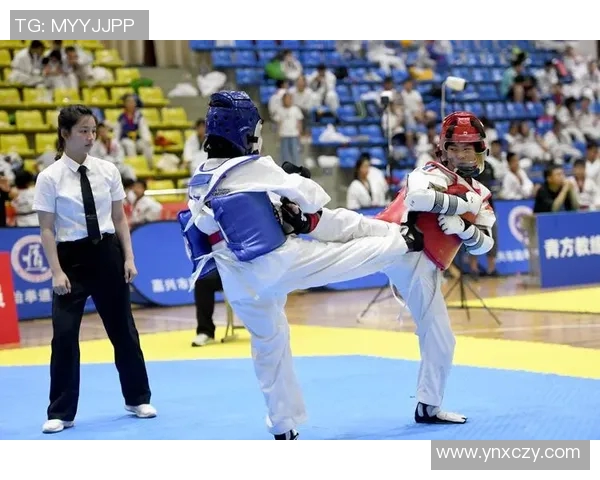 禾特与拜尔森的精彩对决揭示足球战术与团队协作的完美结合