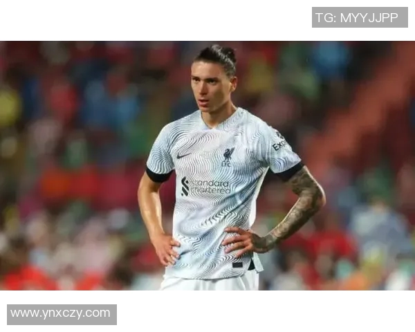 努涅斯在赛季中的崛起与挑战分析，展望未来的足球生涯与发展潜力