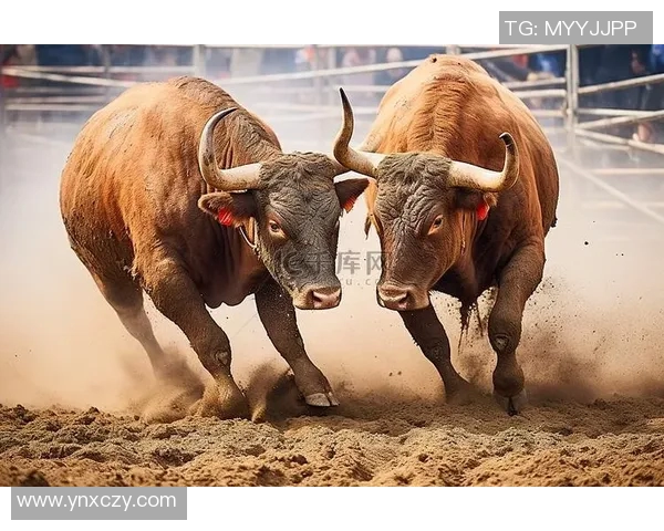 2019年勇士与公牛精彩对决视频回放全程回顾与分析 2019年勇士与公牛精彩对决视频回放全程回顾与分析