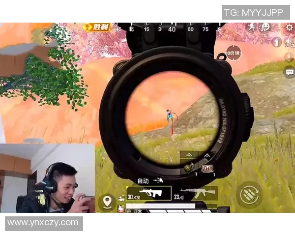 和平精英战术分析：深入探讨WE战队的全面压制策略与执行力