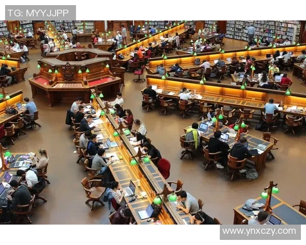 科学极限运动中的灵活性训练技巧与方法探讨MBA