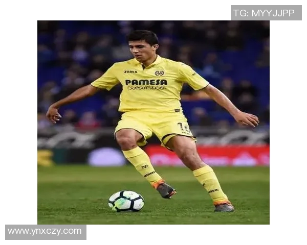 罗德里：从青训新星到世界顶级中场的成长之路与辉煌成就