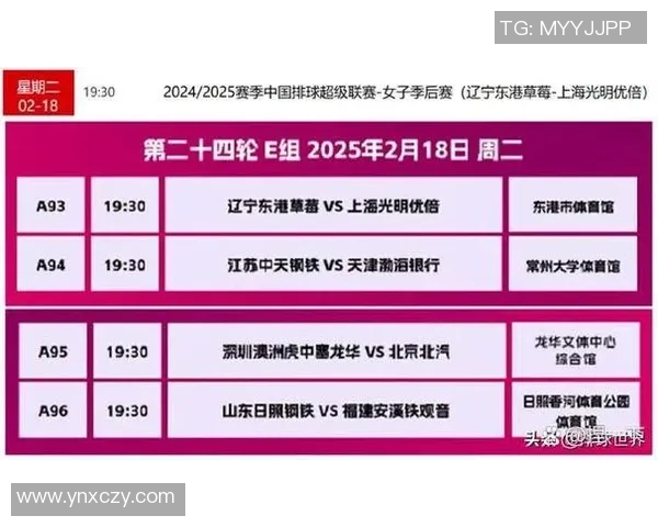 重庆排球队的节奏解析：探索排球热点与球队发展之路