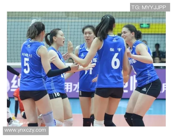 杨强独家分享：深入探讨排球技巧与训练心得，助你提升竞技水平